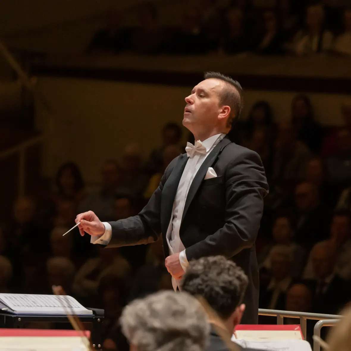 Svetoslav Borisov - Picture nr #20