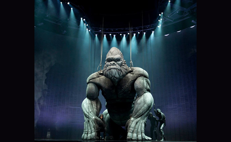 Daniel Kramer - Picture nr #6