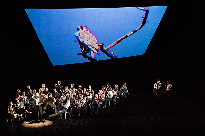 Daniel Kramer - Picture nr #6